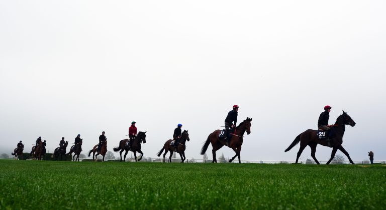 WHN promotion banner image