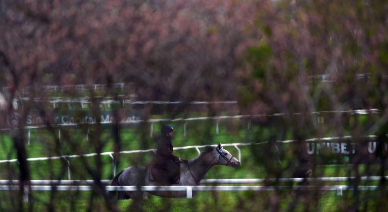 WHN promotion banner image