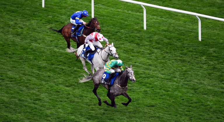 WHN promotion banner image