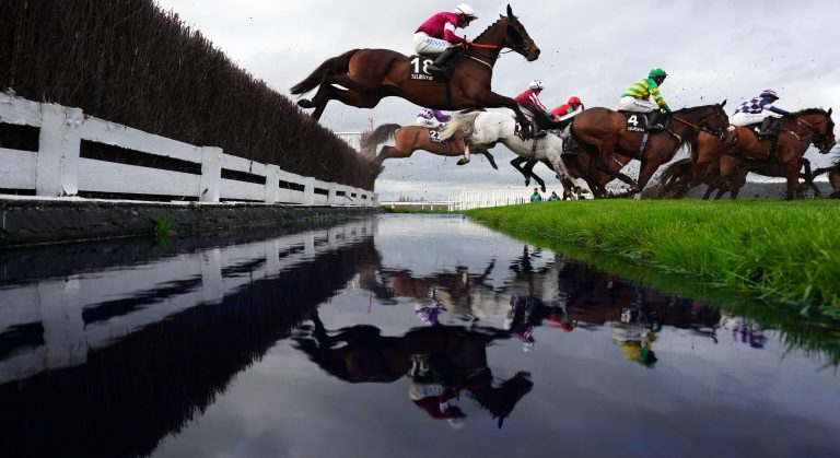 WHN promotion banner image