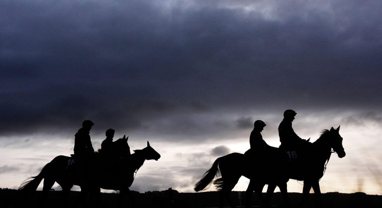 WHN promotion banner image