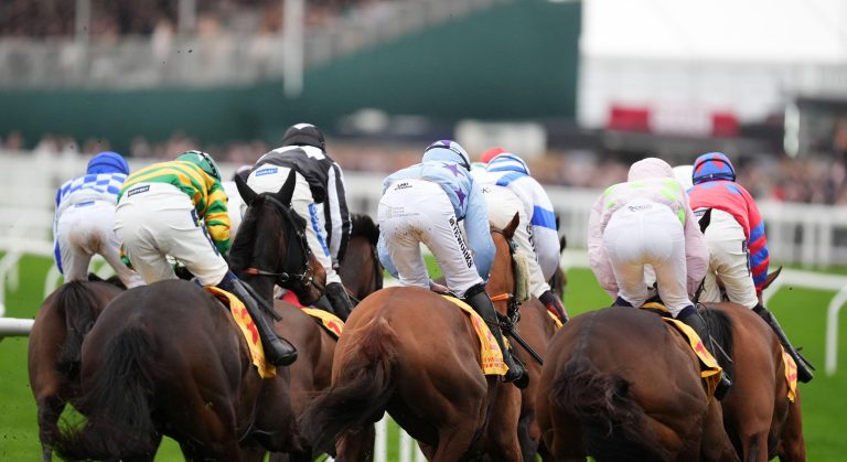 WHN promotion banner image