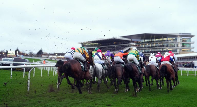 WHN promotion banner image