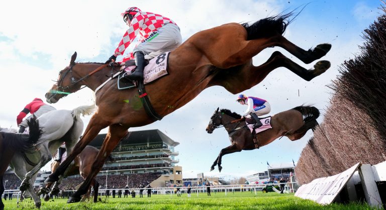 WHN promotion banner image