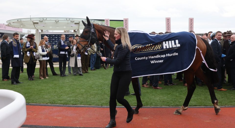 Cheltenham Festival William Hill