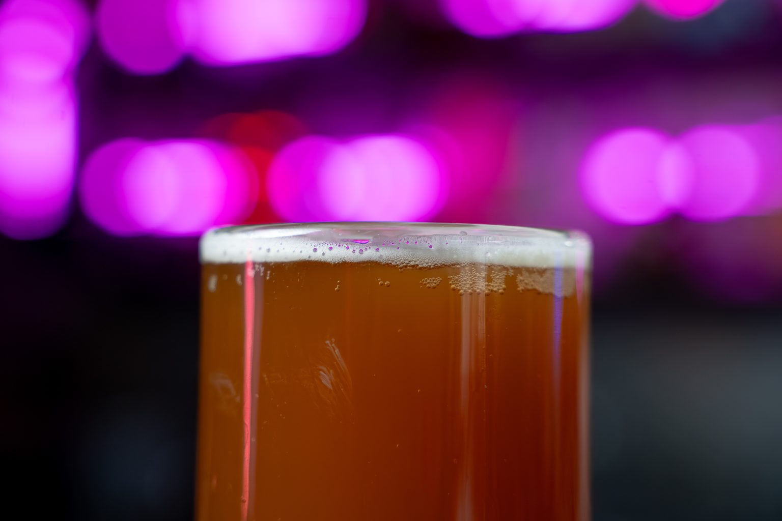 Cheltenham Festival 2026: How Much Beer Will Be Consumed?