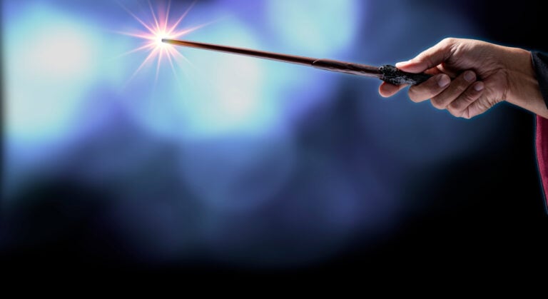 WHN promotion banner image