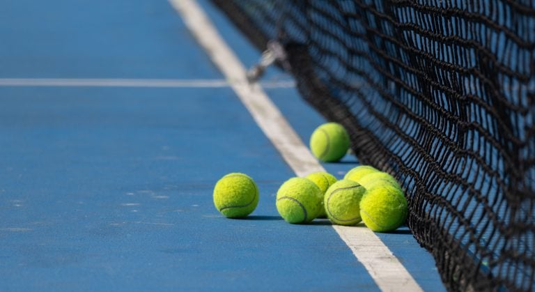 WHN promotion banner image