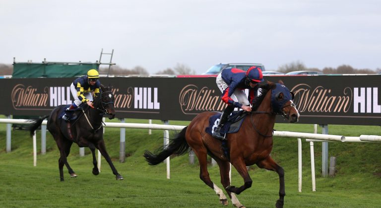 WHN promotion banner image