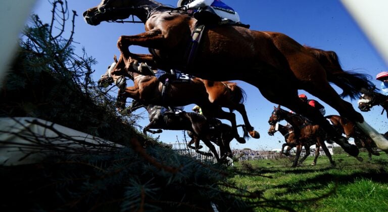 WHN promotion banner image