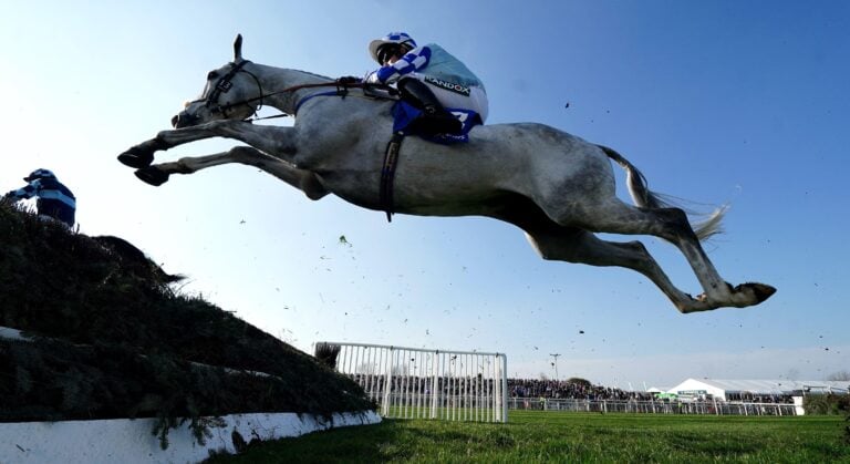 WHN promotion banner image