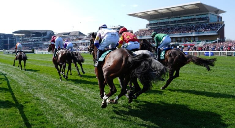 WHN promotion banner image