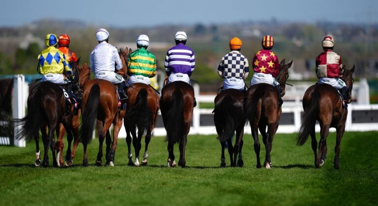 WHN promotion banner image