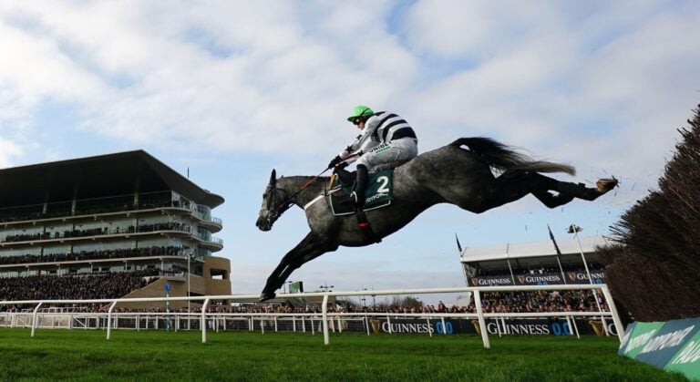 WHN promotion banner image