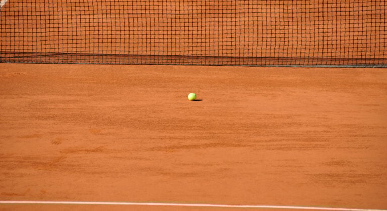 WHN promotion banner image