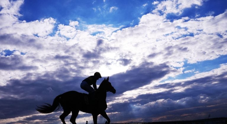 WHN promotion banner image