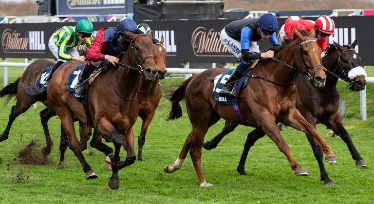 WHN promotion banner image