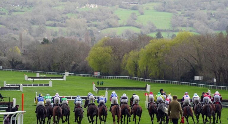 WHN promotion banner image