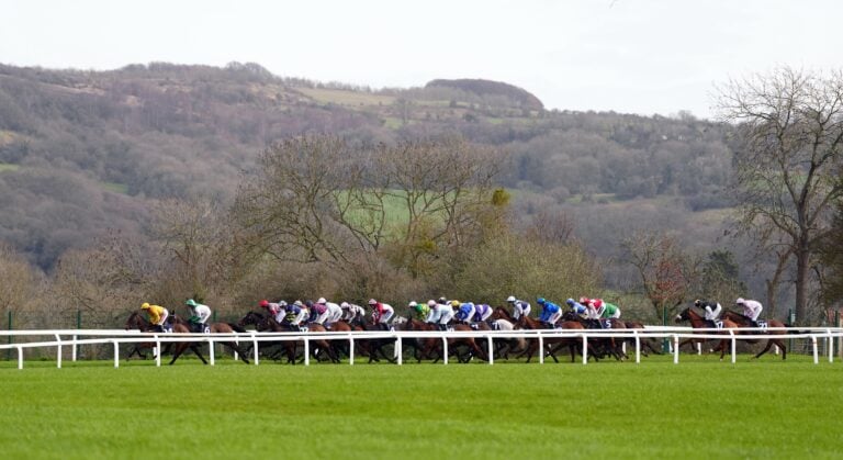 WHN promotion banner image