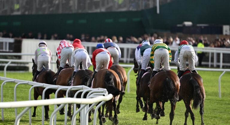 WHN promotion banner image