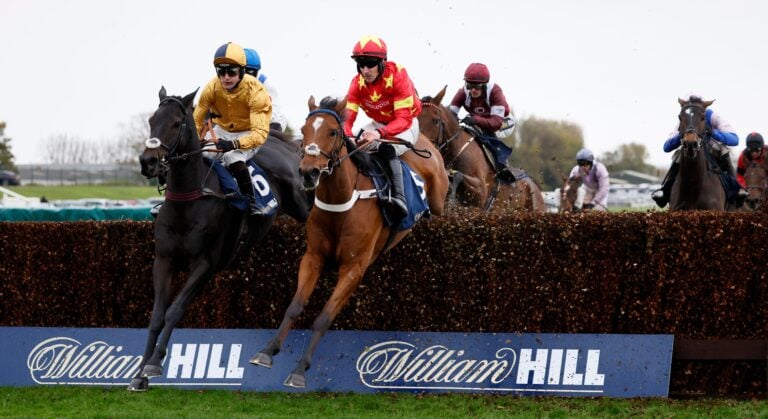 WHN promotion banner image