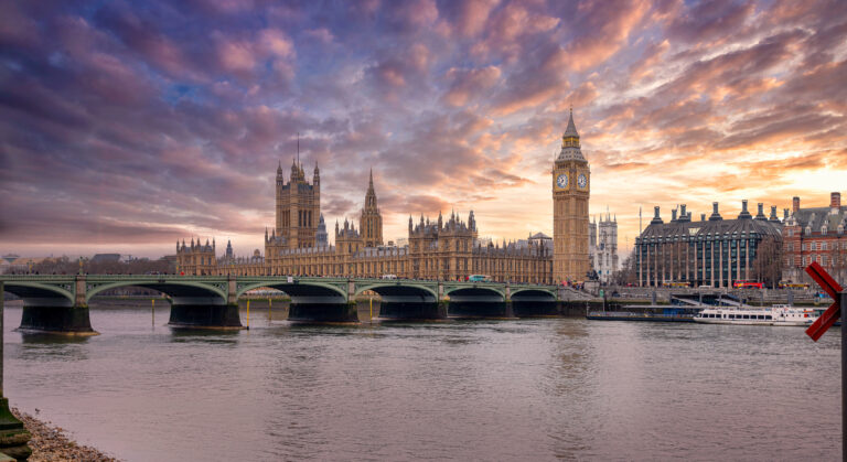 WHN promotion banner image