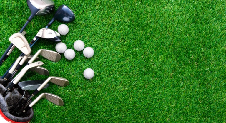 WHN promotion banner image