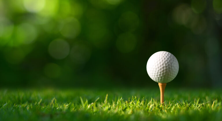 WHN promotion banner image