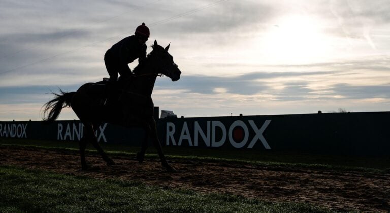 WHN promotion banner image