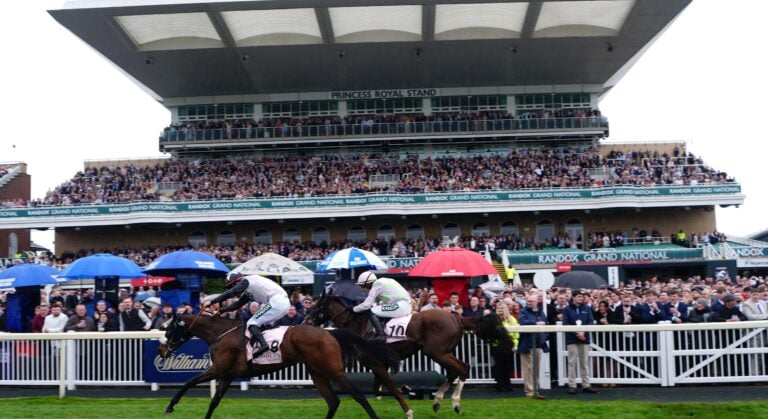 WHN promotion banner image