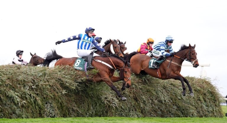 WHN promotion banner image