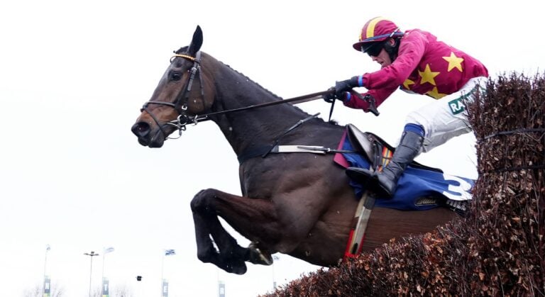 WHN promotion banner image