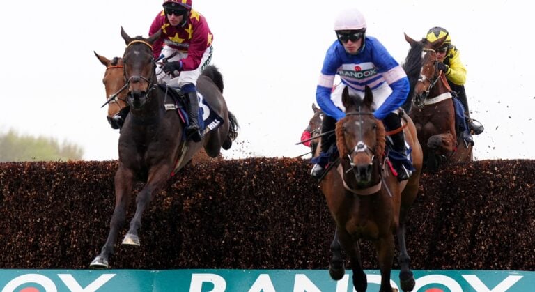 WHN promotion banner image