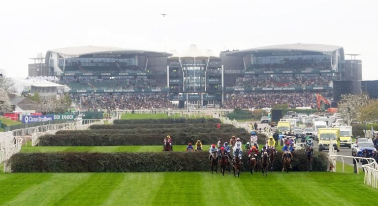 WHN promotion banner image