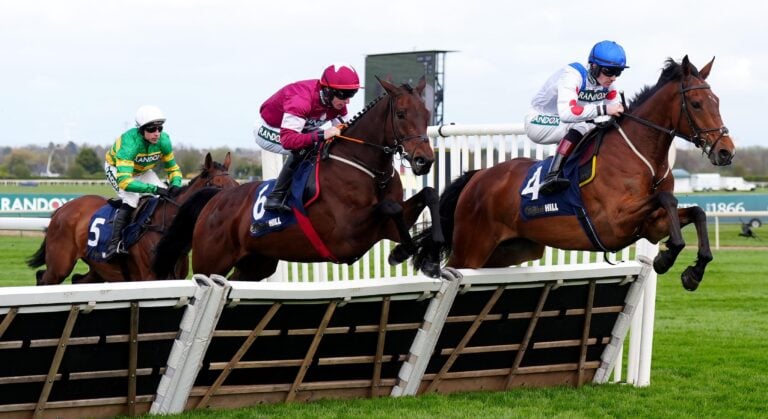 WHN promotion banner image