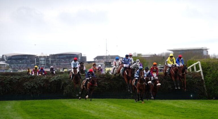 WHN promotion banner image