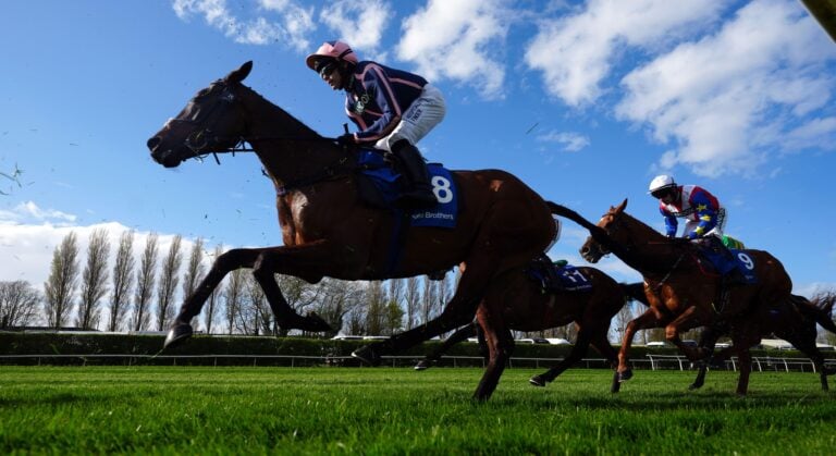 WHN promotion banner image