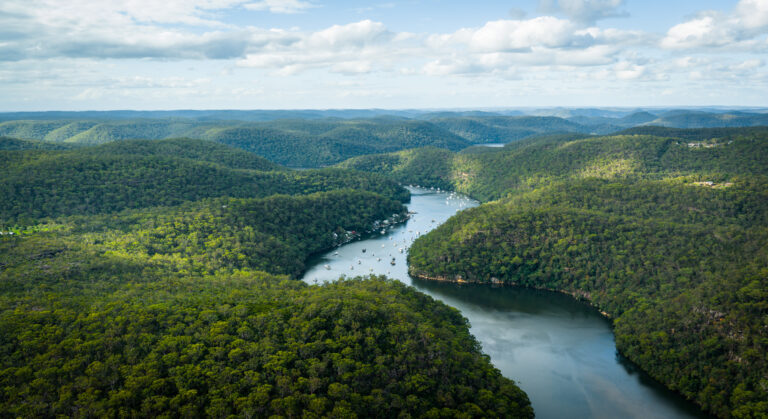 WHN promotion banner image