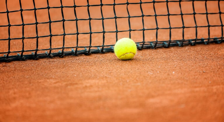 WHN promotion banner image