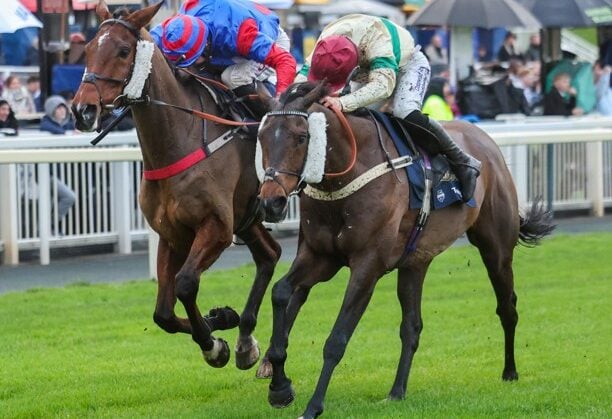 WHN promotion banner image