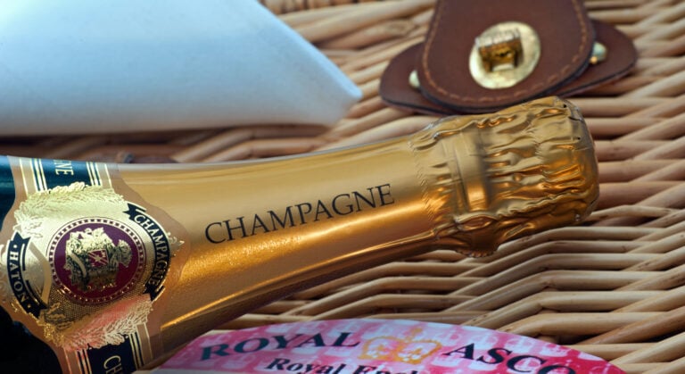 WHN promotion banner image
