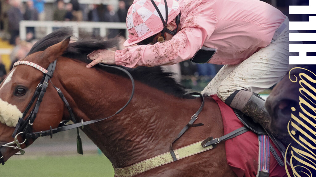York Ebor Festival Day 4 Tips & Predictions (2026)