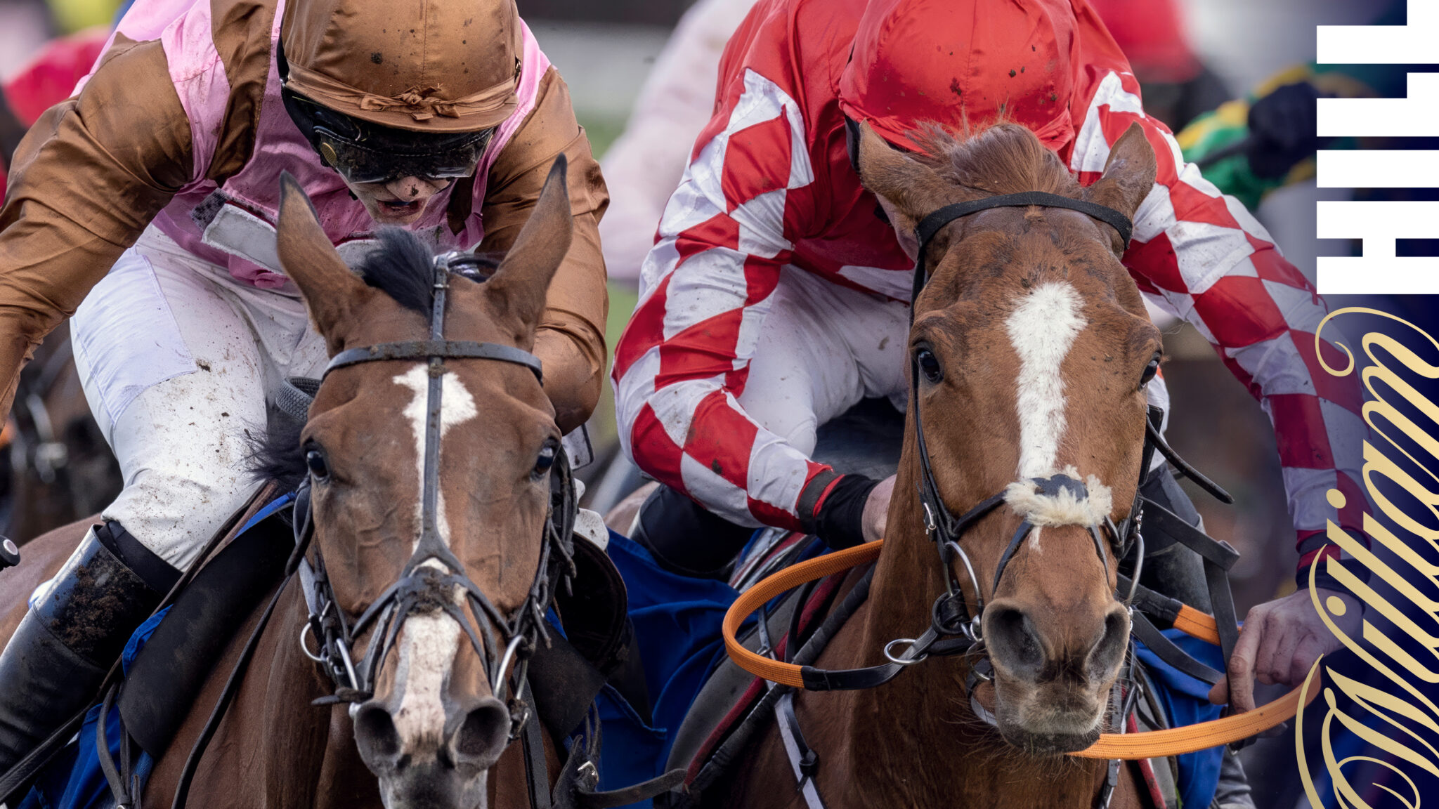 Cheltenham Tips & Best Bets On Saturday, Including A 5/1 NAP