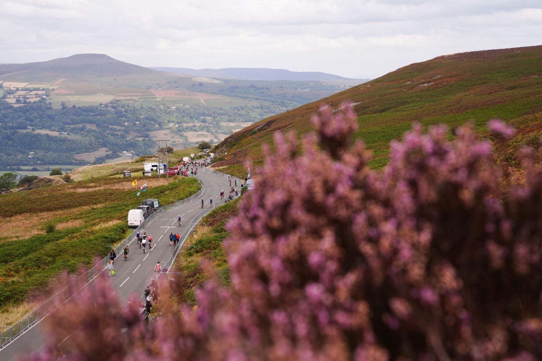 Tour Of Britain 2026 Stage 2 Predictions Betting Tips Boston To Skegness tour-of-britain-2026-stage-2-predictions-betting-tips-boston-to-skegness